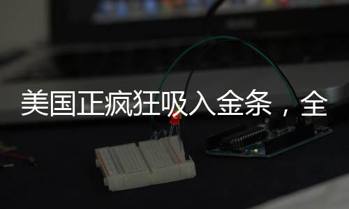 美國正瘋狂吸入金條，全球黃金市場的重塑者
