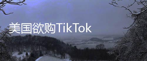 美國欲購TikTok 50%股份遭商務部回應，一場數字時代的商業(yè)博弈