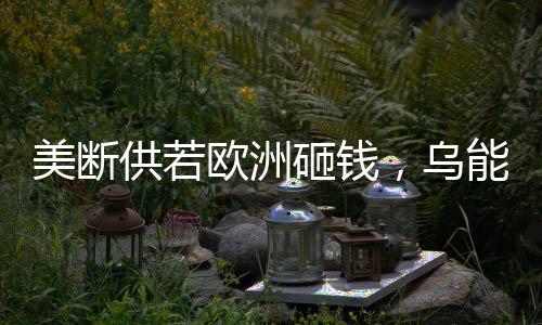美斷供若歐洲砸錢，烏能否堅(jiān)持下去？