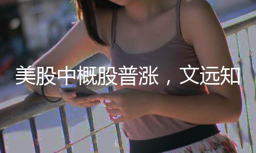 美股中概股普漲，文遠知行漲幅超83%，引領(lǐng)科技板塊強勢上揚