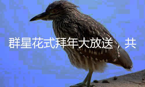 群星花式拜年大放送，共慶新春佳節(jié)