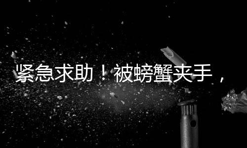 緊急求助！被螃蟹夾手，消防119迅速出動！