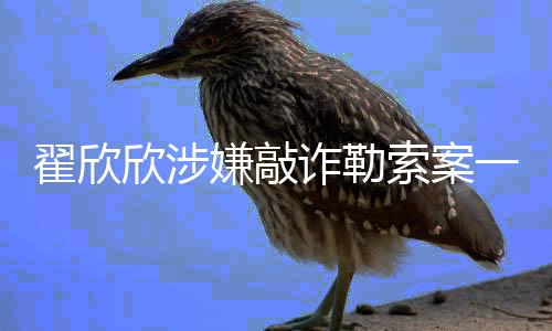 翟欣欣涉嫌敲詐勒索案一審揭曉，法律公正展現(xiàn)威力