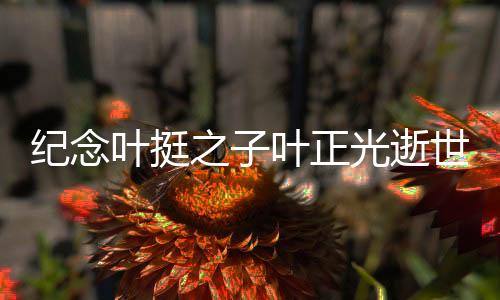 紀(jì)念葉挺之子葉正光逝世，一段時(shí)代的緬懷與致敬