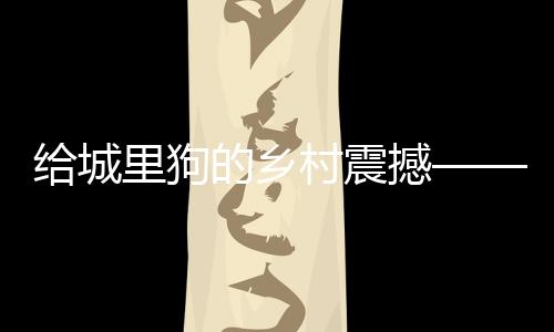 給城里狗的鄉(xiāng)村震撼——一次難忘的寵物體驗之旅