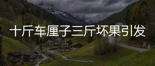 十斤車(chē)?yán)遄尤飰墓l(fā)爭(zhēng)議，山姆超市回應(yīng)并采取措施
