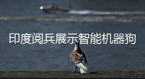 印度閱兵展示智能機器狗，人手一個遙控器，科技力量矚目顯現(xiàn)