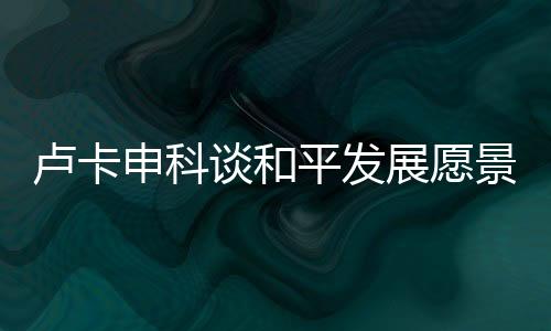 盧卡申科談和平發(fā)展愿景，中國追求的不僅僅是繁榮，更是和平與穩(wěn)定的全球環(huán)境