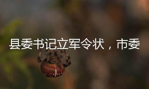 縣委書記立軍令狀，市委書記推動全市播放，責任擔當與地方治理新篇章