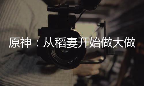 原神：從稻妻開始做大做強！