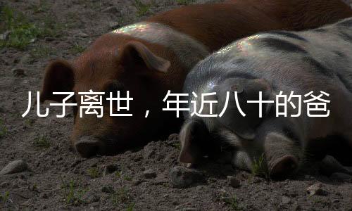 兒子離世，年近八十的爸爸堅持給兒子擦車，一份無言的父愛