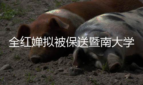 全紅嬋擬被保送暨南大學(xué)，體育界新星揚帆知識海洋啟航新征程