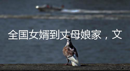 全國(guó)女婿到丈母娘家，文化差異與融合的觀察分析