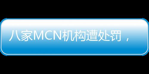 八家MCN機(jī)構(gòu)遭處罰，行業(yè)監(jiān)管再升級