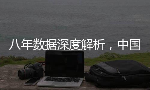 八年數(shù)據(jù)深度解析，中國如何應(yīng)對美國關(guān)稅挑戰(zhàn)