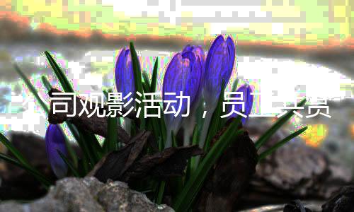 公司觀影活動(dòng)，員工共賞哪吒2，助力影片沖破百億大關(guān)
