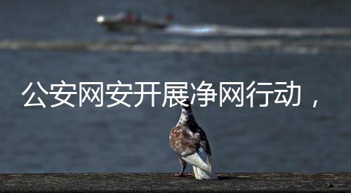 公安網(wǎng)安開(kāi)展凈網(wǎng)行動(dòng)，成效顯著——凈網(wǎng)2024成績(jī)單亮眼