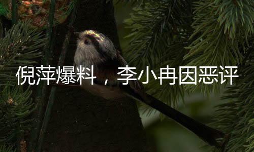 倪萍爆料，李小冉因惡評憤然退出繁花群