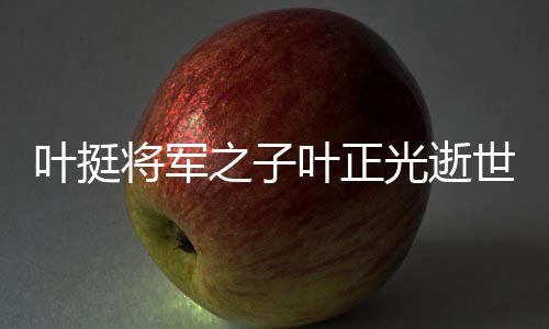 葉挺將軍之子葉正光逝世，一代英才隕落