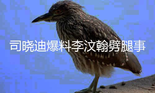 司曉迪爆料李汶翰劈腿事件，娛樂圈再掀波瀾