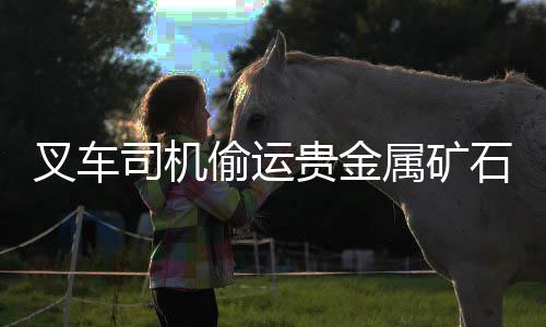 叉車司機(jī)偷運(yùn)貴金屬礦石，口含礦石過(guò)安檢事件揭秘
