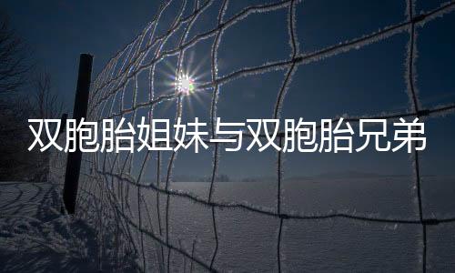 雙胞胎姐妹與雙胞胎兄弟，愛的緣分，雙倍的承諾——訂婚盛典