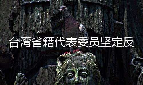 臺灣省籍代表委員堅(jiān)定反分裂反干涉立場