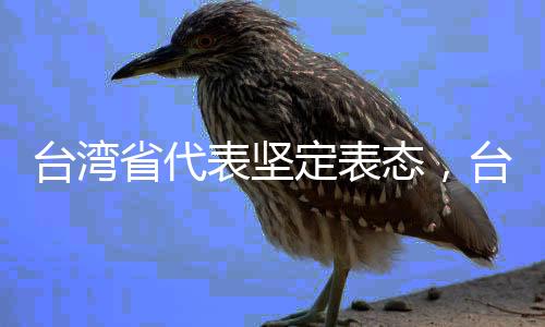 臺(tái)灣省代表堅(jiān)定表態(tài)，臺(tái)灣的最大靠山就是祖國(guó)