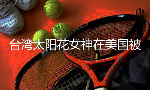 臺(tái)灣太陽花女神在美國(guó)被捕
