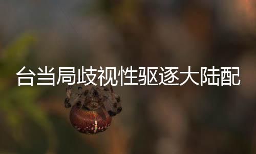 臺(tái)當(dāng)局歧視性驅(qū)逐大陸配偶，深度分析與觀察
