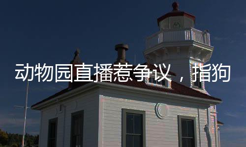 動物園直播惹爭議，指狗為虎事件揭秘，園方回應(yīng)