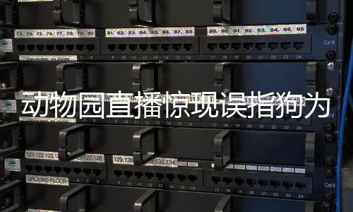 動物園直播驚現(xiàn)誤指狗為虎事件