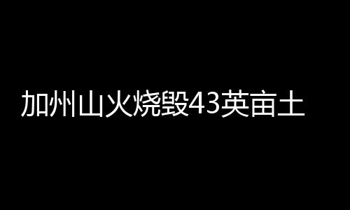 加州山火燒毀43英畝土地 險危及好萊塢星光大道