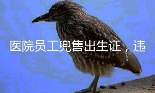醫(yī)院員工兜售出生證，違法行為引發(fā)社會關(guān)注