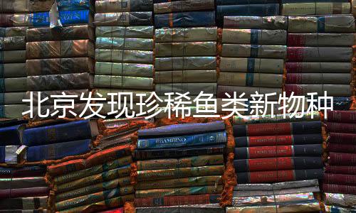 北京發(fā)現(xiàn)珍稀魚類新物種，以Beijing命名致敬科學(xué)發(fā)現(xiàn)之旅