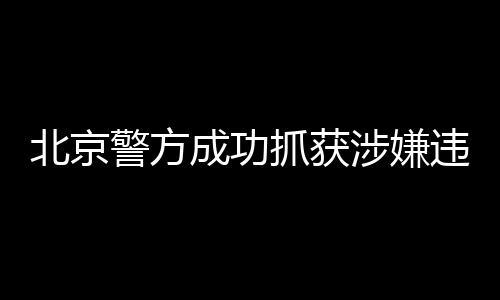 北京警方成功抓獲涉嫌違法演員王某，揭示娛樂圈背后的故事