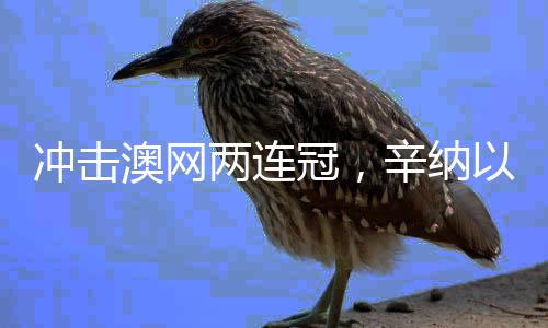 沖擊澳網(wǎng)兩連冠，辛納以3-0橫掃謝爾頓，展現(xiàn)無敵實力