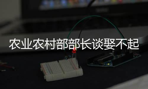 農(nóng)業(yè)農(nóng)村部部長談娶不起死不起，聚焦鄉(xiāng)村發(fā)展的多重挑戰(zhàn)與解決方案