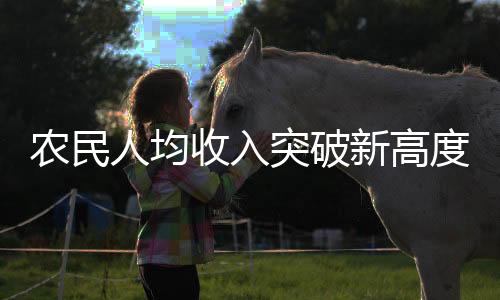 農民人均收入突破新高度，揭秘鄉(xiāng)村振興背后的故事