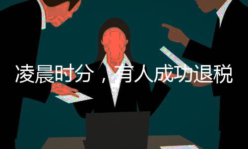 凌晨時(shí)分，有人成功退稅五萬多元，揭秘退稅流程與個(gè)人經(jīng)歷