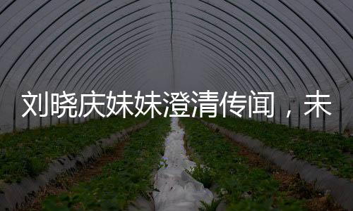 劉曉慶妹妹澄清傳聞，未卷走姐姐的財產(chǎn)
