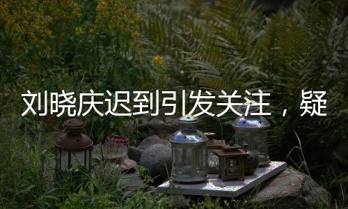 劉曉慶遲到引發(fā)關(guān)注，疑因家中被盜