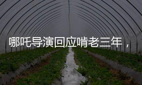 哪吒導(dǎo)演回應(yīng)啃老三年，創(chuàng)作與挑戰(zhàn)并存
