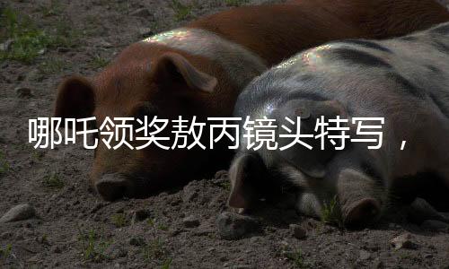 哪吒領(lǐng)獎敖丙鏡頭特寫，瞬間榮耀，永恒友情
