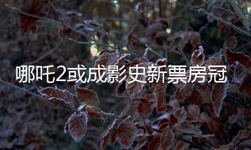哪吒2或成影史新票房冠軍，揭秘其背后的成功之道