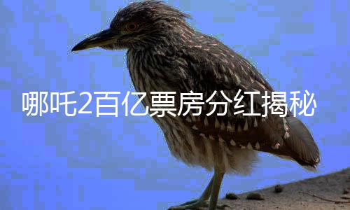 哪吒2百億票房分紅揭秘，一部影片的成功背后的經(jīng)濟(jì)分配機(jī)制
