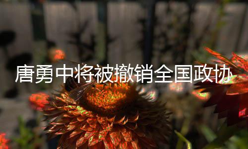 唐勇中將被撤銷全國政協(xié)委員資格事件解析