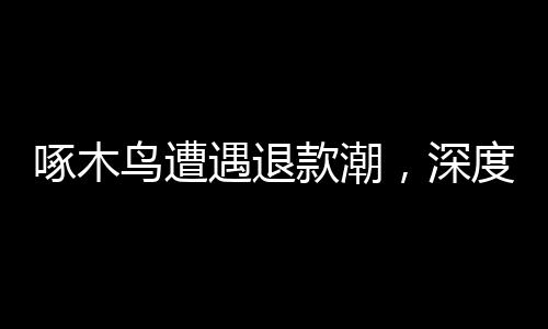 啄木鳥遭遇退款潮，深度探究背后的原因