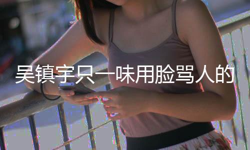 吳鎮(zhèn)宇只一味用臉罵人的誤解與真實(shí)探究