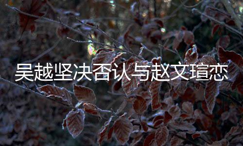 吳越堅(jiān)決否認(rèn)與趙文瑄戀情傳聞